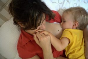 obesidad y flora intestinal