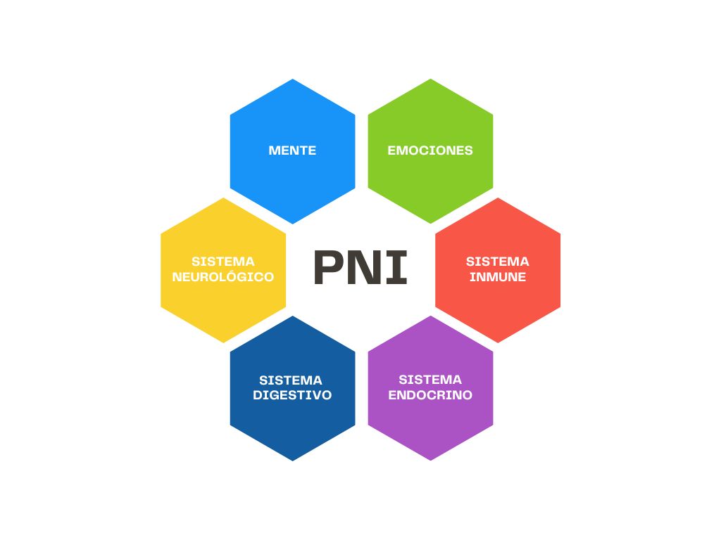 que es pni